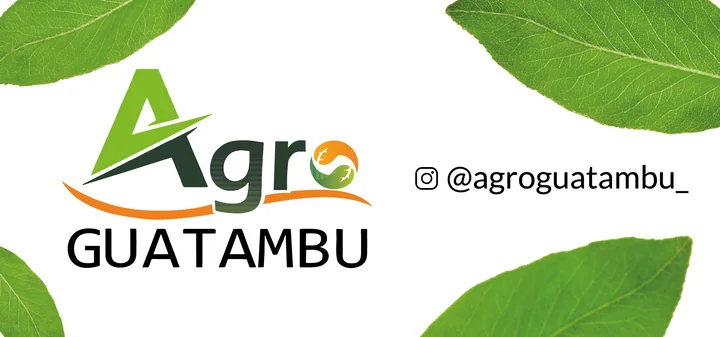 agro-guatambu